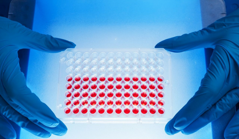 Food Tolerance Blood Test Pros and Cons